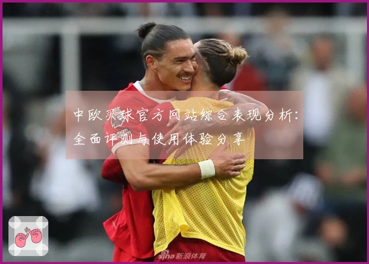 中欧买球官方网站综合表现分析：全面评测与使用体验分享