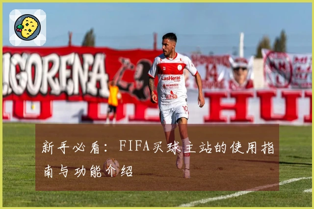 新手必看:FIFA买球主站的使用指南与功能介绍