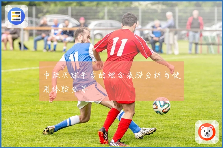 中欧买球平台的综合表现分析与使用体验分享
