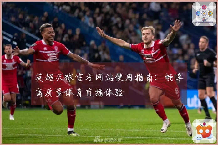 英超买球官方网站使用指南：畅享高质量体育直播体验