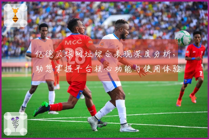 亿德买球网址综合表现深度分析，助您掌握平台核心功能与使用体验