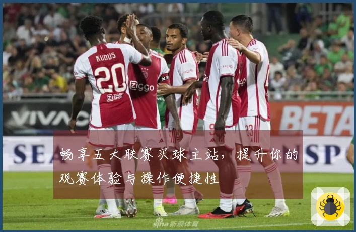 畅享五大联赛买球主站，提升你的观赛体验与操作便捷性