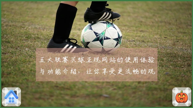 五大联赛买球正规网站的使用体验与功能介绍，让你享受更流畅的观看过程