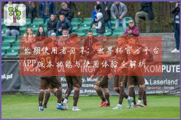 长期使用者分享：世界杯官方平台APP版本功能与使用体验全解析